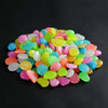 Glow-in-the-Dark Garden Pebbles